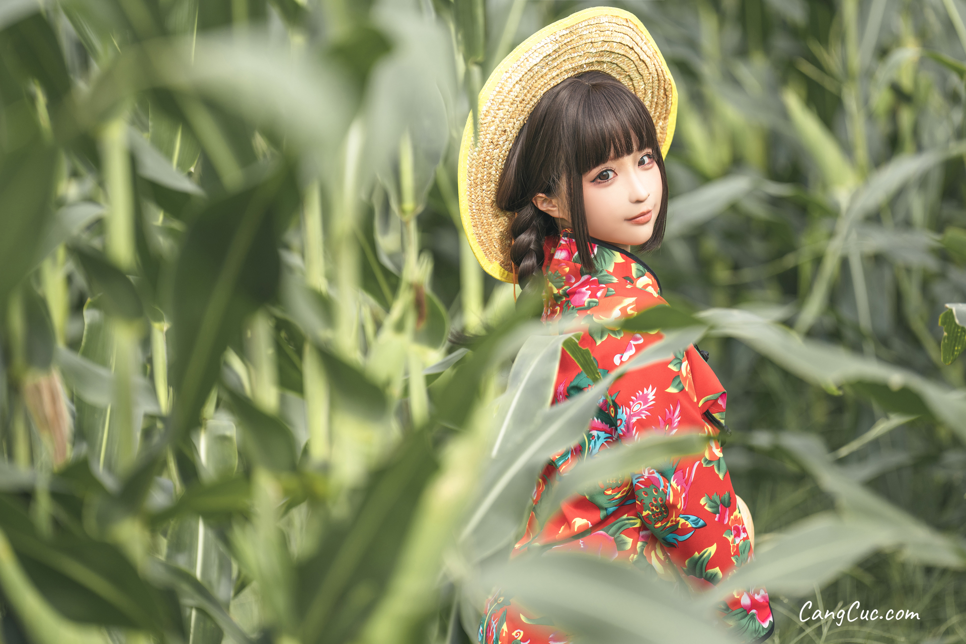 Coser@蠢沫沫 (chunmomo): The Story of Cornfield ảnh 50